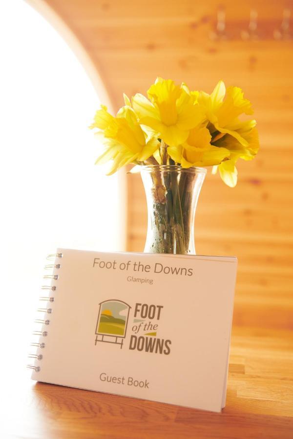 Foot Of The Downs Shepherds Hut *