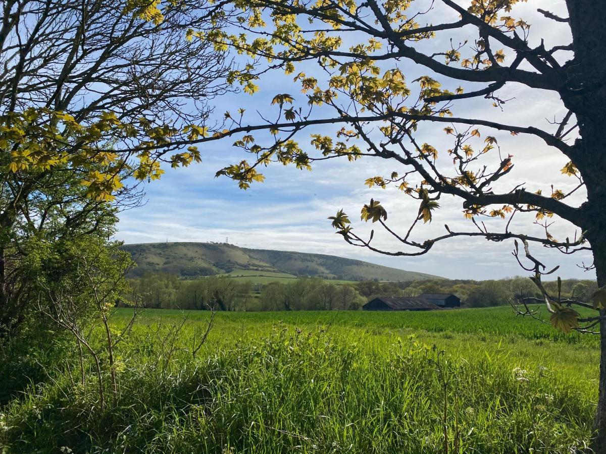 Foot Of The Downs Shepherds Hut Campsite