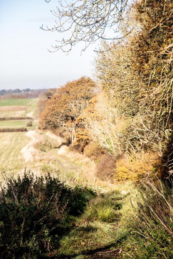 Foot Of The Downs Shepherds Hut *