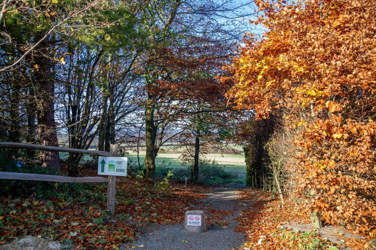 Foot Of The Downs Shepherds Hut Campsite Woodmancote